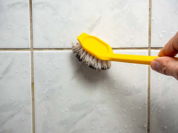 Best Mold Testing and Removal  in West Mountain, UT