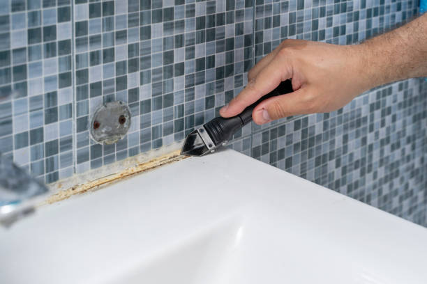 Mold Testing and Removal in West Mountain, UT