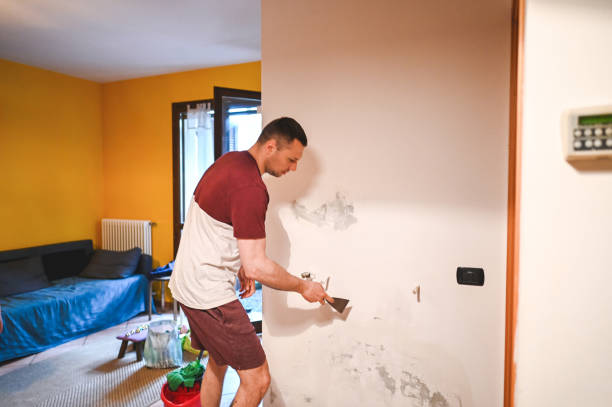 Best Toxic Mold Removal  in West Mountain, UT